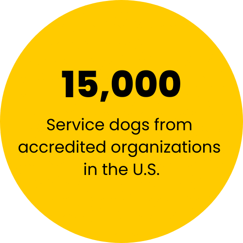 yellow circle with the text 15,000 service dogs from accredited organizations in the US