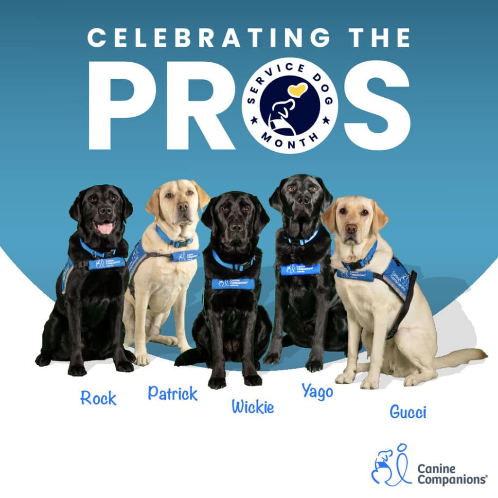 Celebrating the Pros text with the national service dog month logo and five yellow and black lab service dogs sitting resolutely in a row