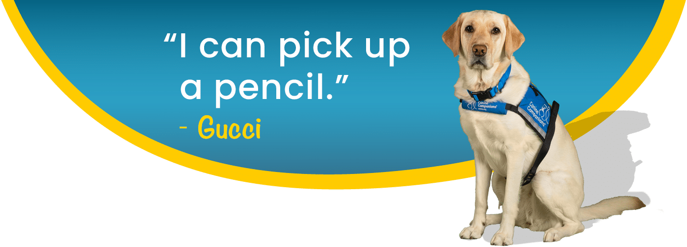 service dog yellow lab gucci with graphic background - quote" I can pick up a pencil