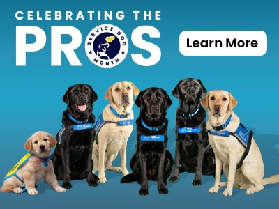 5 service dogs and one puppy on blue background. celebrating the pros - learn more button
