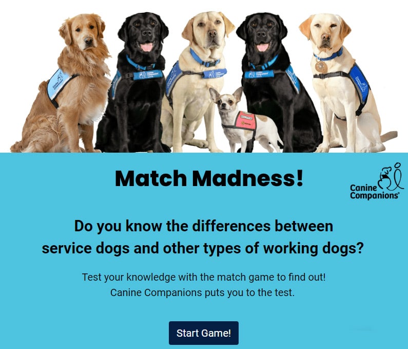 First page of the match madness quiz game