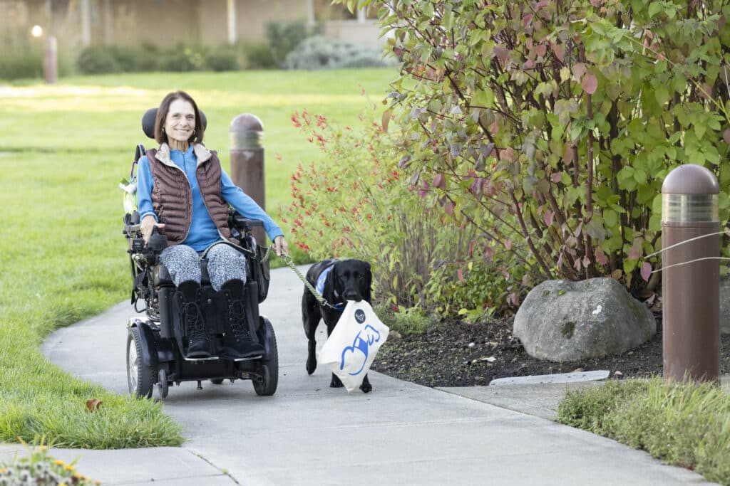 A woman in a wheelchair with a service dog walking beside her holding a bag