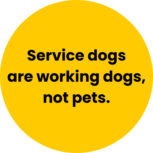 yellow circle that says service dogs are working dogs, not pets.
