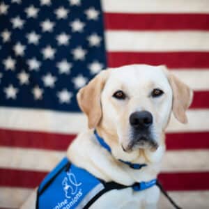 Service dog in front of the united states flag