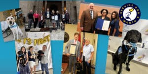 A collage of photos from service dog month, including several people holding up government proclamations and service dogs