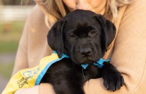 A woman holding a black puppy wearing a yellow cape and kissing the puppy on the head