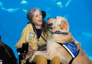 Photo of a woman in a wheelchair in front of an aquarium tank smiling at her service dog