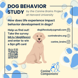 graphic with a dog and paws with information about the dog behavior study