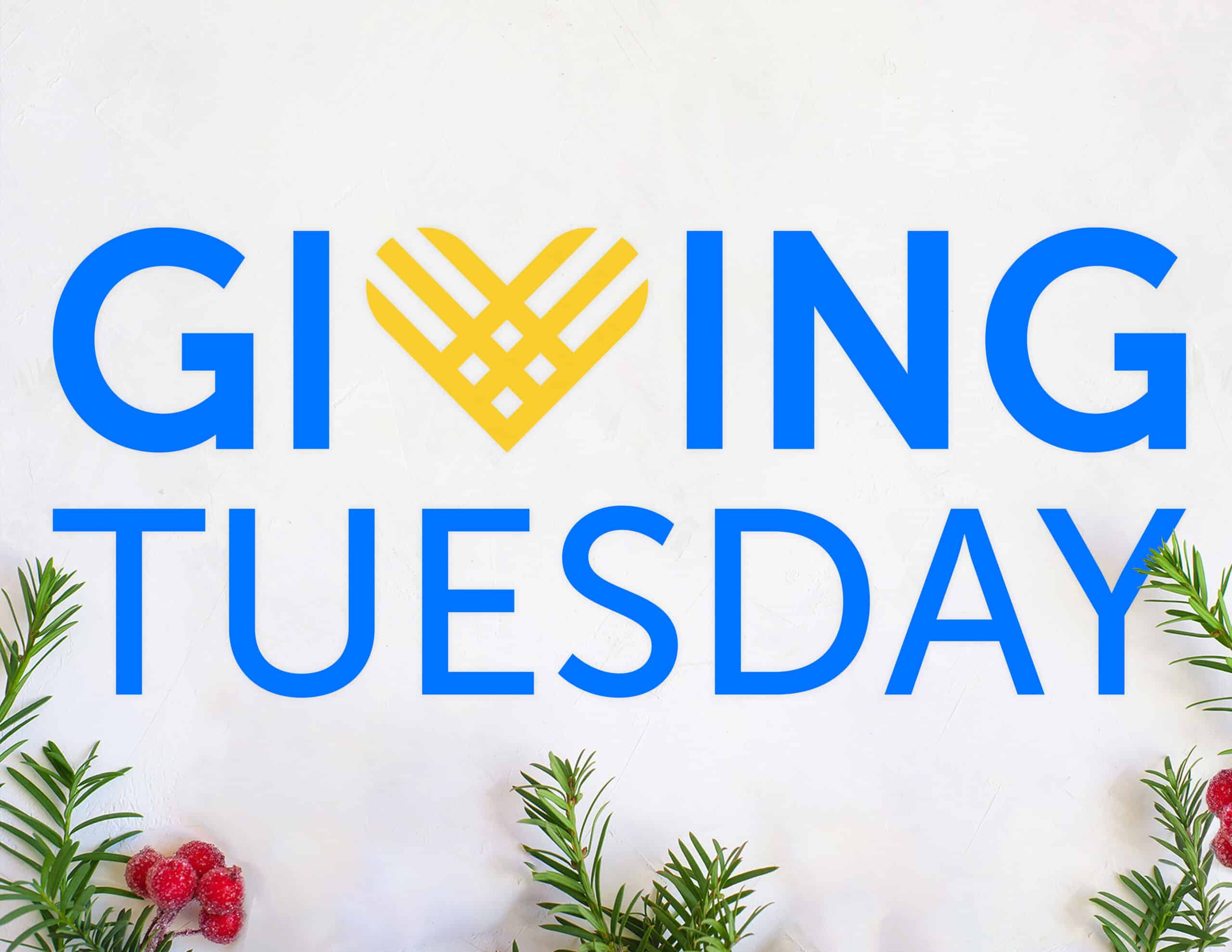 Giving Tuesday logo on snow background