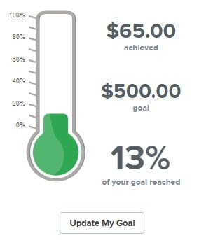 screenshot of the qgiv fundraising thermometer