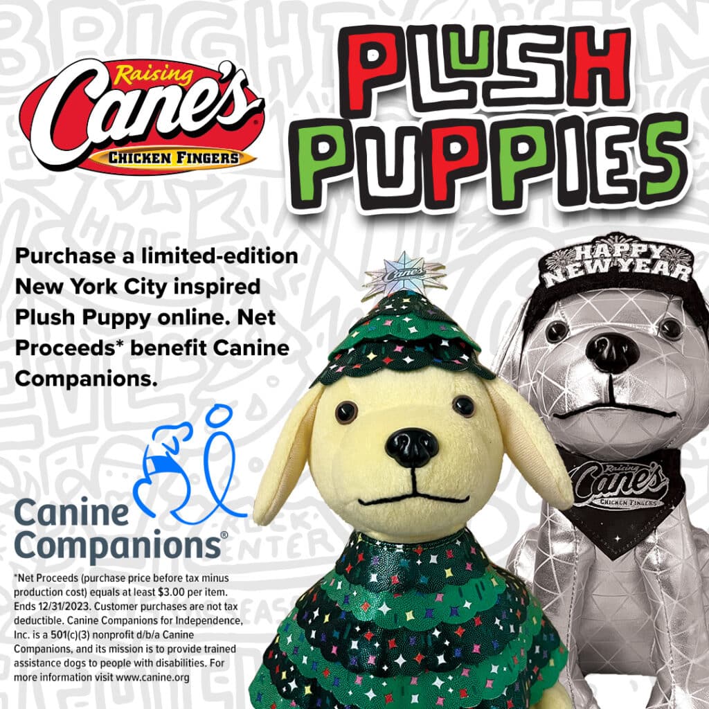 two dog plush, one wearing a Christmas tree costume and another silver one with a Happy New Year hat on; surrounded by numerous sentences