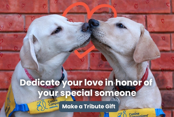 two puppies kissing. Message is:Dedicate your love in honor of your special someone. Button: Make a Tribute Gift