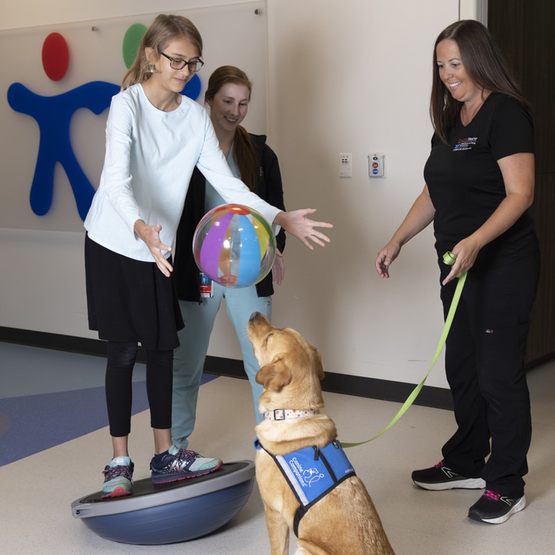 Two women are engaging with a service dog in a therapy session, with one balancing on a board and the other guiding the attentive dog to interact with a colorful ball.