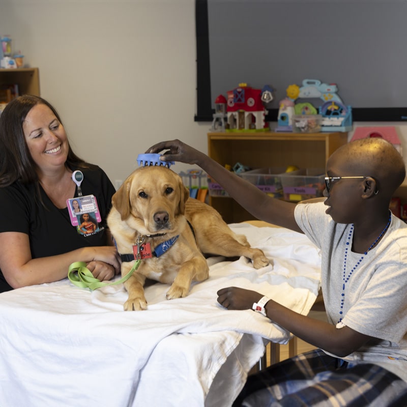 a young child in a childrens hospital grooms a yellow lab in a blue service vest as the dog's handler looks on and smiles