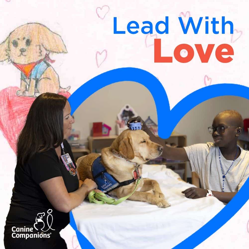 A service dog with a child at a hospital in a heart shaped frame with the words Lead With Love