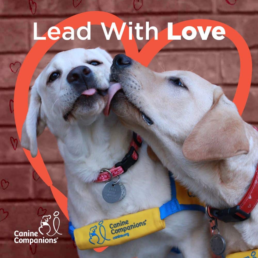 Two puppies licking each others faces in a red heart border with the words lead with love