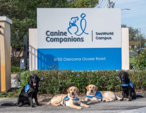 Photo of 2 black service dogs, 2 blonde service dogs in front of the Canine Companions Southeast Region sign
