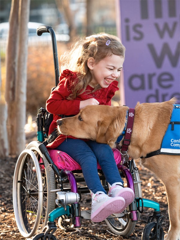 young girl in a wheelchair laughing, looking at her service dog