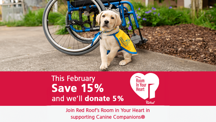 a puppy in a yellow puppy cape next to a wheelchair. The words This February save 15% and we'll donate 5% with the red roof logo