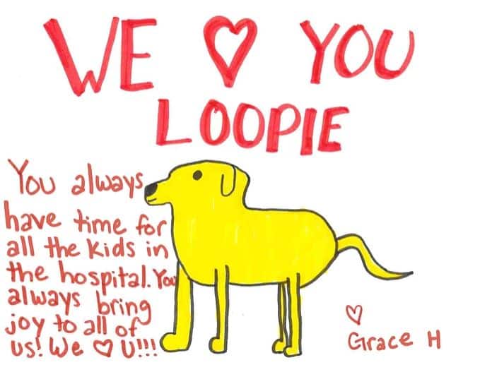 a drawing of the service dog Loopie with the words We Love You Loopie in handwriting