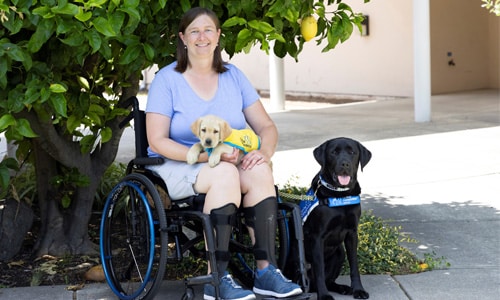 Woman in a wheel chair next to her canine companions service dog holding a puppy 