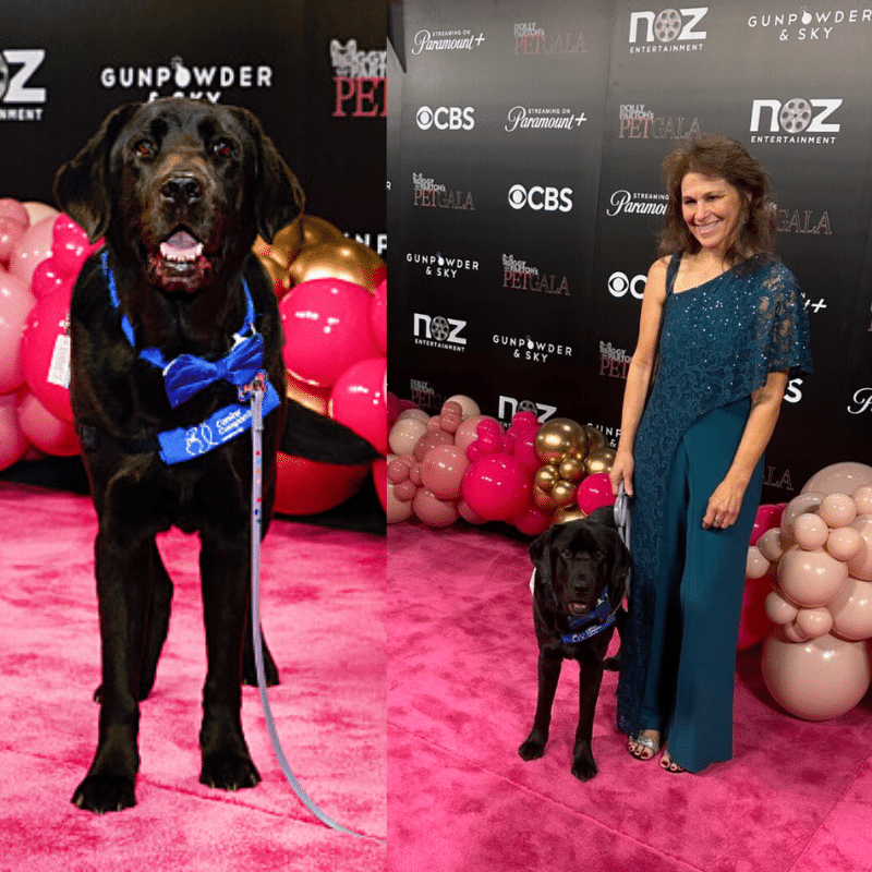 Two photos presented side by side. On the left, a black Labrador service dog wearing a blue Canine Companions vest stands proudly on a pink carpet. On the right, a woman in an elegant teal gown smiles, standing next to the same dog, amidst a backdrop of pink and black balloons at a formal event.