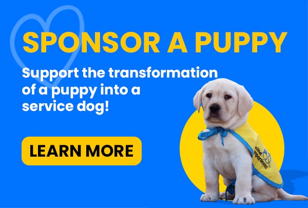 image with a yellow lab puppy promoting the sponsor a puppy program