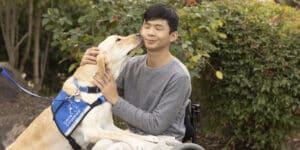 a boy sitting in a wheelchair, as a Labrador wearing a blue vest that reads Canine Companions kisses his cheek