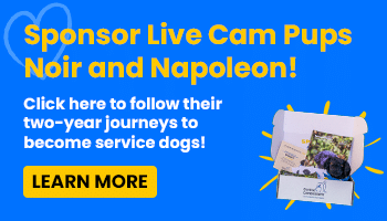 blue banner that says sponsor live cam pups noir and napoleon
