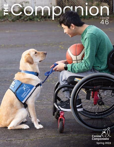Cover of the Companion featuring a boy in a wheelchair holding a basketball facing his yellow lab service dog