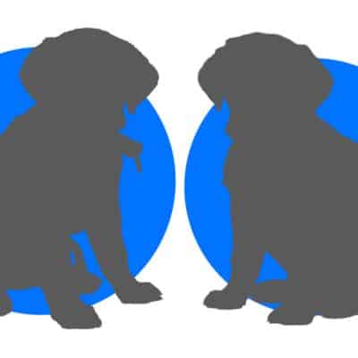 two puppy silhouettes