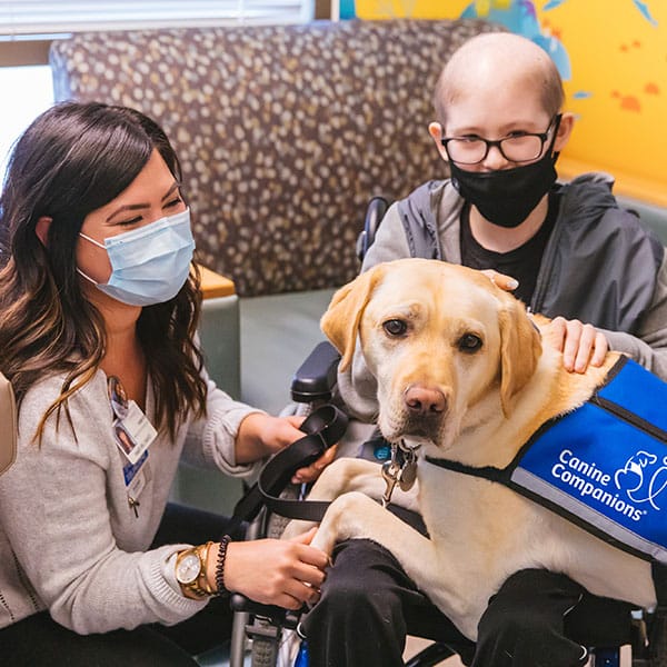 a woman with a child in a wheelchair with a yellow lab service dog in a blue service vest
