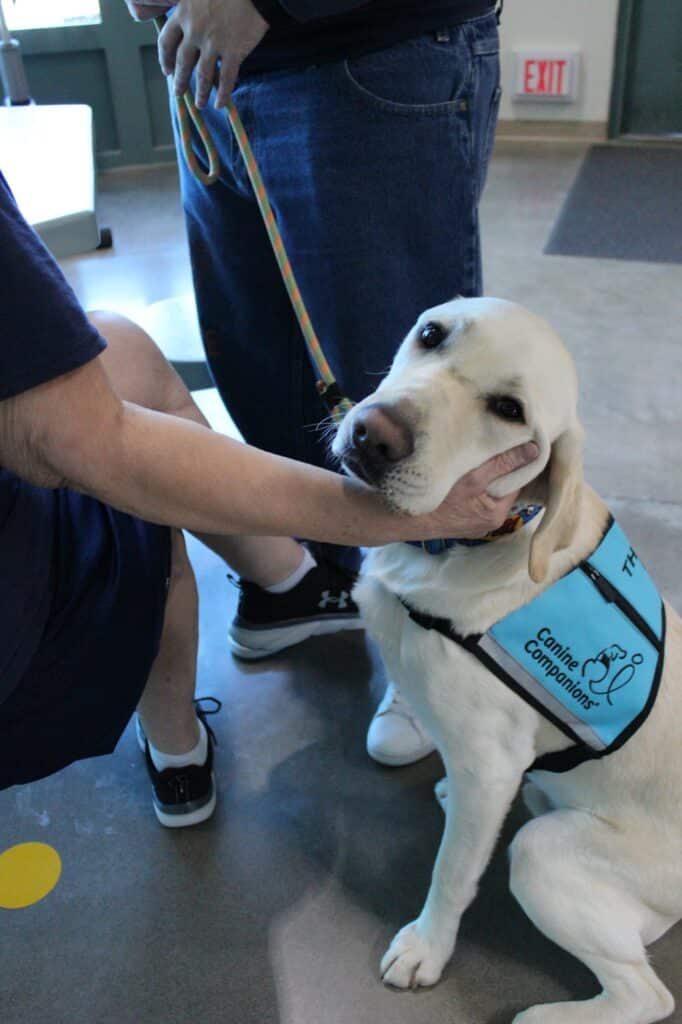 a yellow lab in a therapy dog vest is pet by an inmate at coffee creek prison