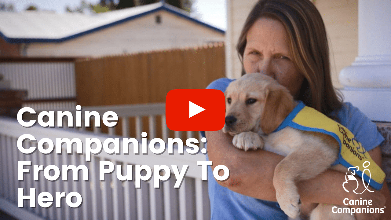 A woman holding a yellow Labrador Retriever puppy wearing a yellow and blue Canine Companions vest. The text on the image reads 'Canine Companions: From Puppy To Hero' with a play button icon in the center.