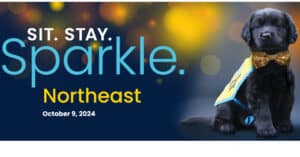 Sit Stay Sparkle Northeast 2024