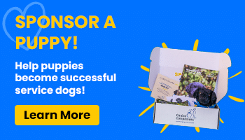 blue banner with the text sponsor a puppy