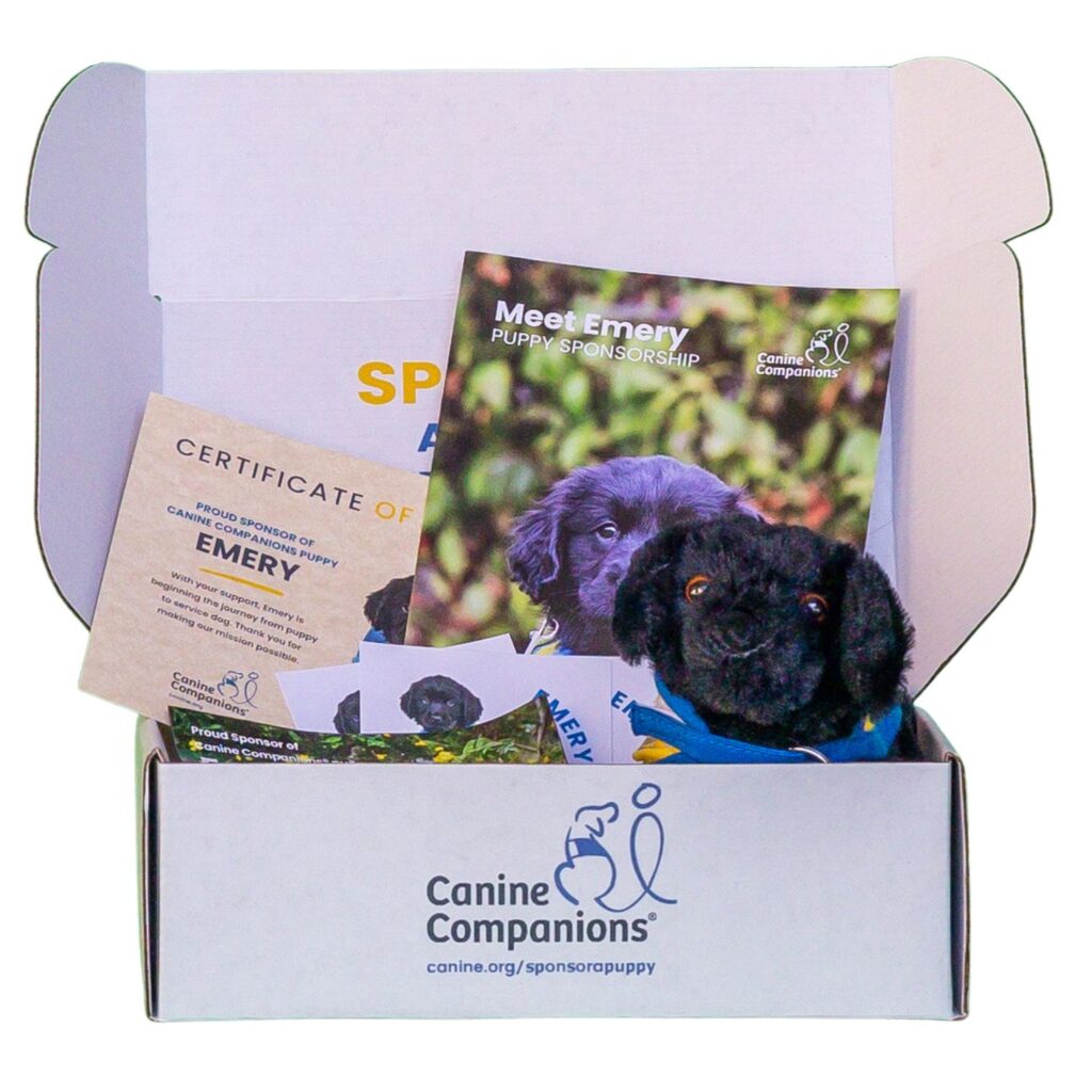 the sponsor a puppy box with all the included items
