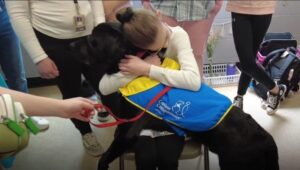 A child hugging a black service dog wearing a blue and yellow vest labeled "Canine Companions," surrounded by people.