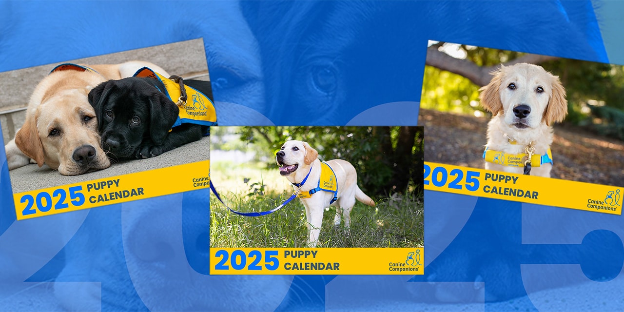 2025 Canine Companions Puppy Calendar Canine Companions