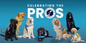 blue header image featuring many service dogs and a header text that says Celebrating The Pros