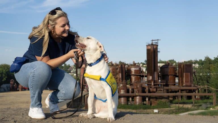 A woman crouching and petting a white dog wearing a yellow and blue harness, with an industrial-style park in the background.