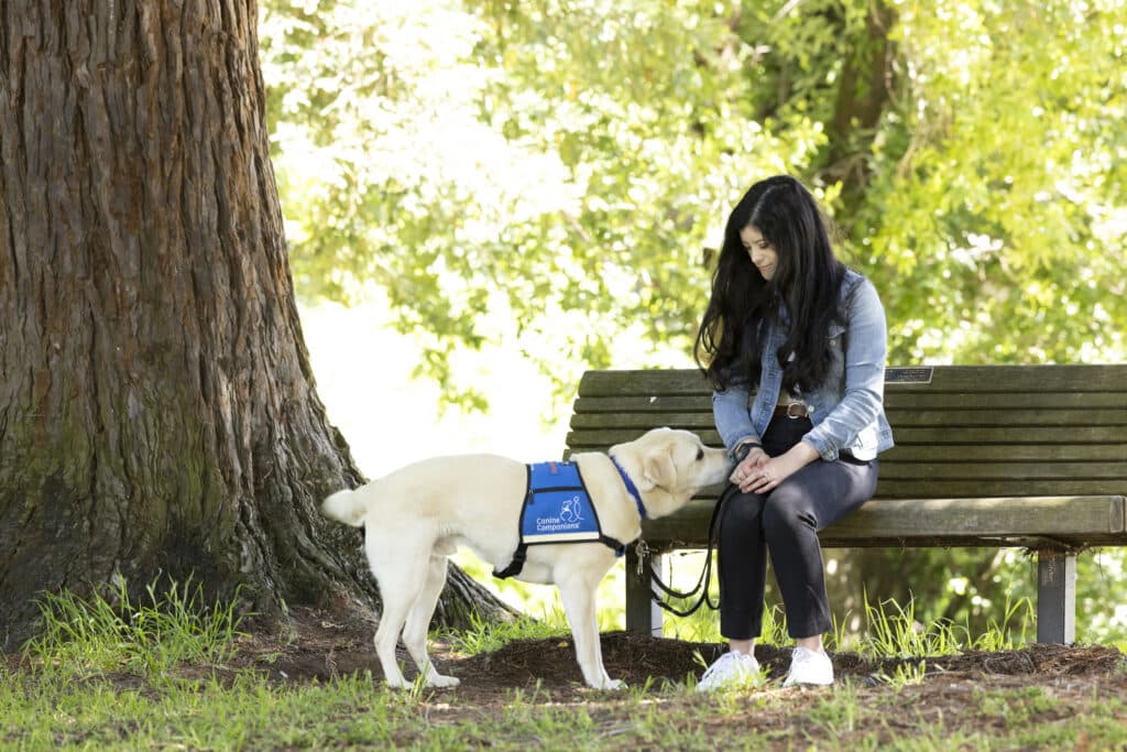 A woman sits on a park bench while a labrador retriever wearing a blue "Canine Companions" vest nuzzles her hand.