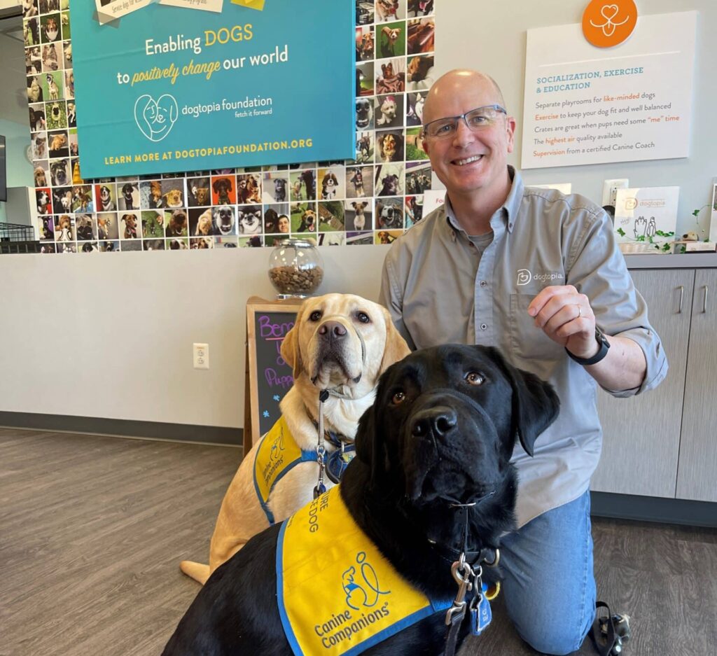 A man wearing glasses and a grey shirt kneels beside two Labrador Retrievers, one yellow and one black, both wearing blue and yellow "Canine Companions" vests. Behind them is a wall covered with photos of dogs and a sign promoting the Dogtopia Foundation.