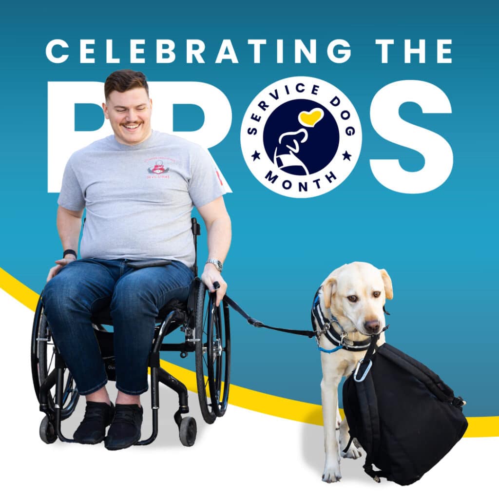 Celebrating the Pros: Image of a man in a wheelchair holding the leash of a service dog carrying a black bag in its mouth, with a logo for Service Dog Month.