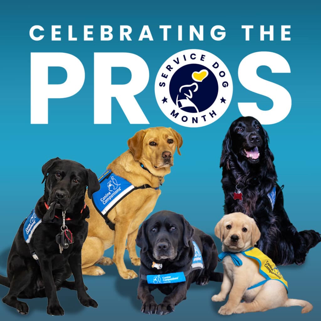 Five service dogs wearing blue vests are posed together on a teal background, with text above them reading "Celebrating the Pros" and a logo that says "Service Dog Month."