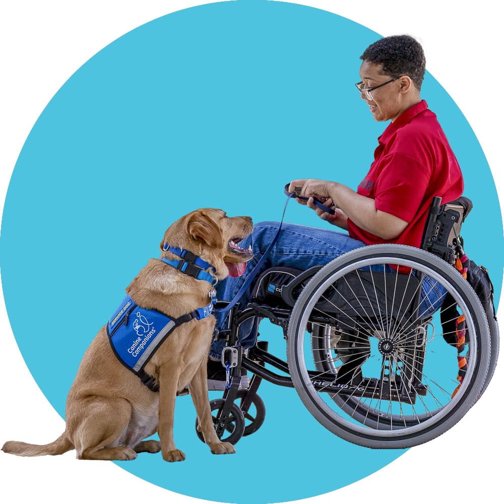 Person in a wheelchair interacting with a service dog wearing a blue vest, set against a blue circular background.