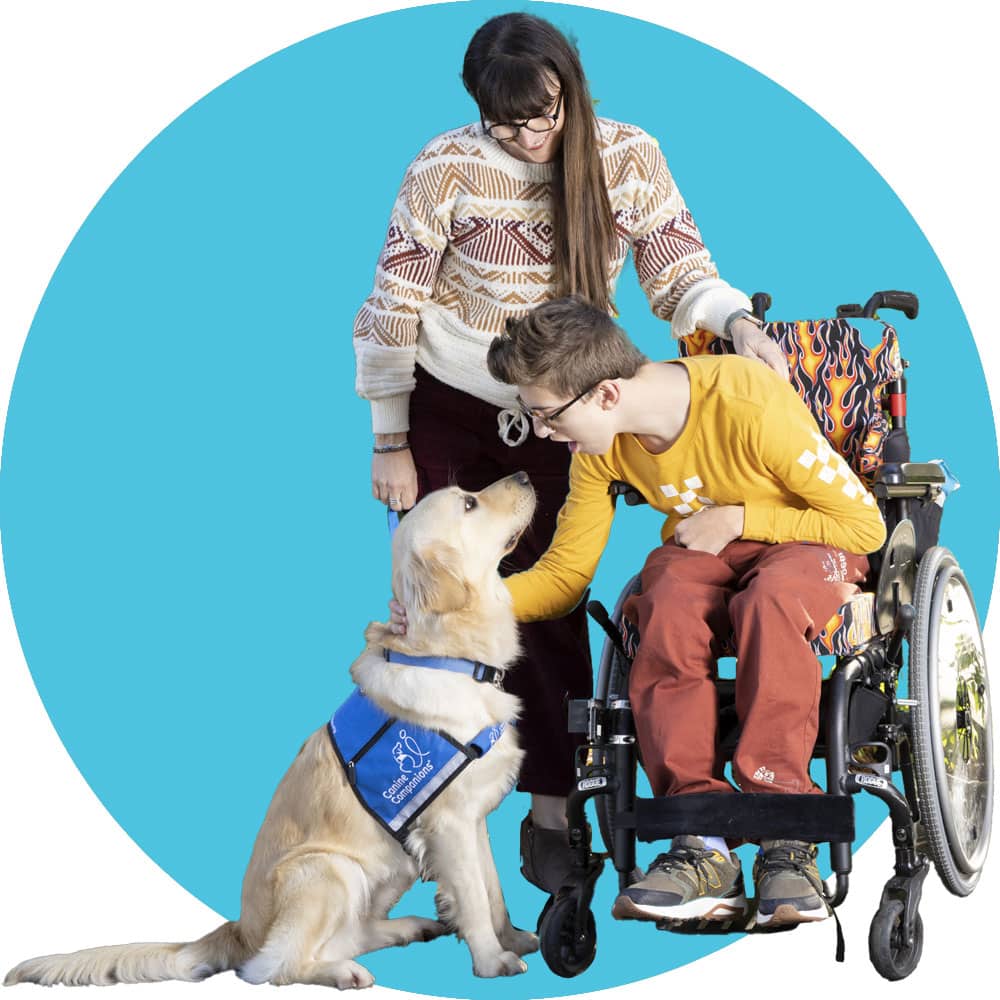 A person and a child in a wheelchair interacting with a golden retriever wearing a blue service dog vest.