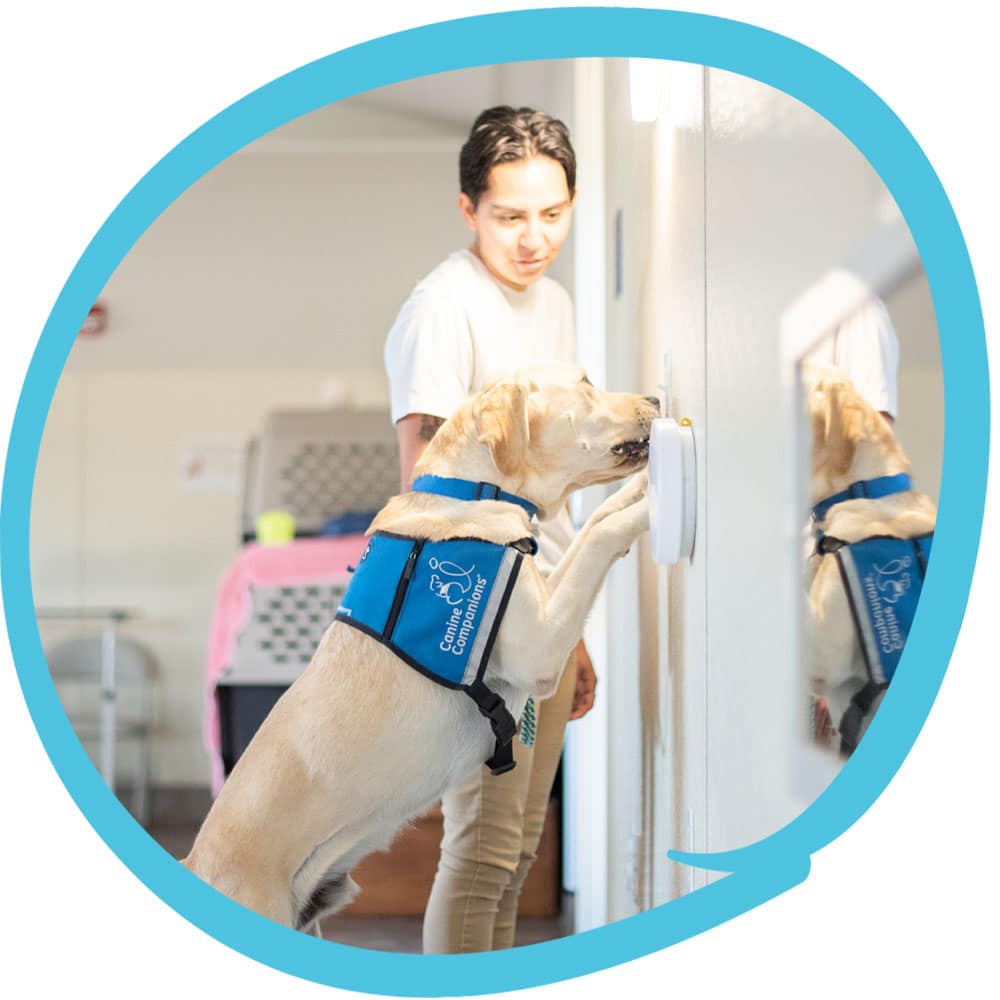 A service dog wearing a "Canine Companions" vest activates a wall-mounted touch button while a person watches in the background.