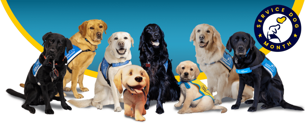 national service dog month