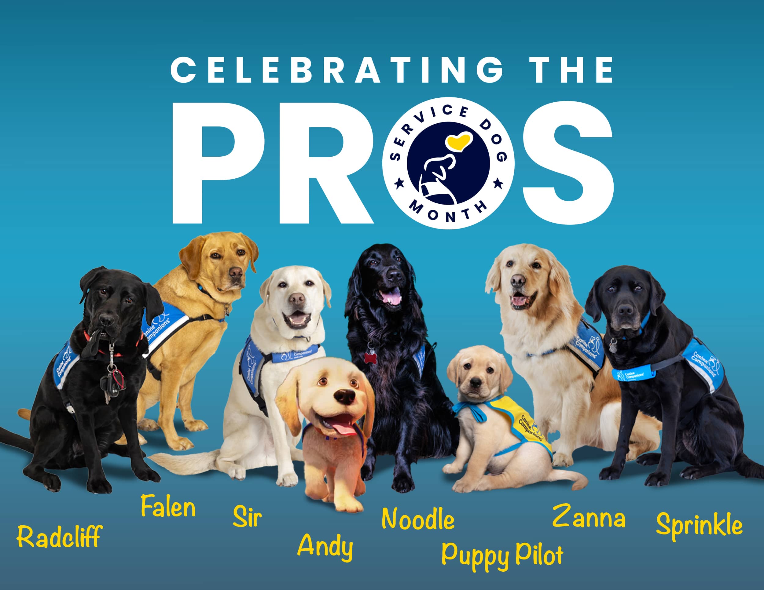 Celebrating the Pros - Service Dog Month. Seven service dogs wearing vests with their names below: Radcliff, Falen, Sir, Andy, Noodle (Puppy Pilot), Zanna, and Sprinkle.